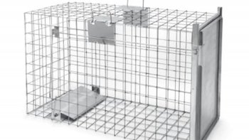 Zbiórka Klatka łapka na psy - miniaturka zdjęcia