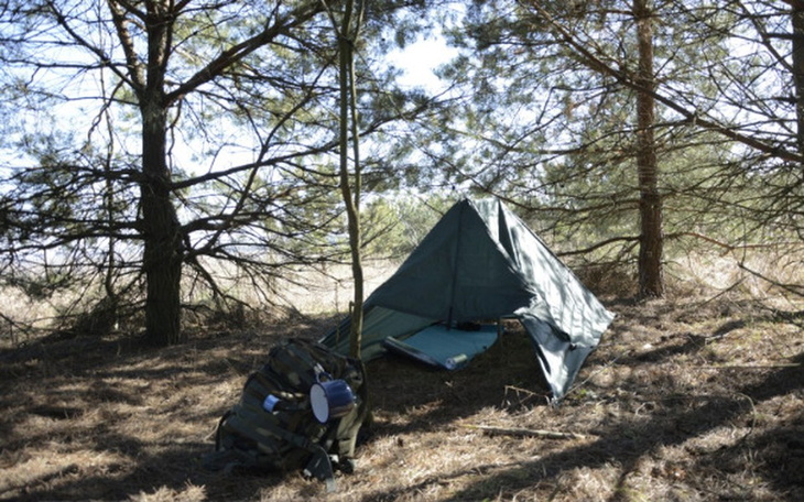 Zbiórka Wyprawa do lasu. - zdjęcie główne
