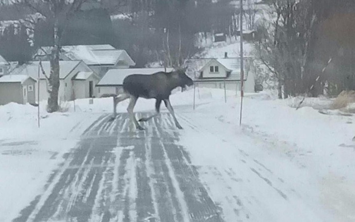 Zbiórka Ucieczka 500 km od teściowej - zdjęcie główne