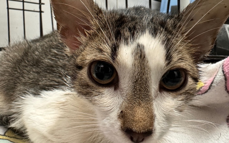 Zbiórka Opłaty bieżące. - zdjęcie główne