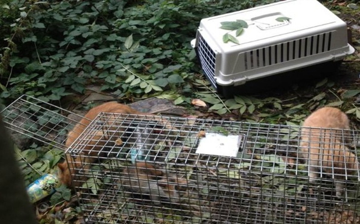 Zbiórka Uratujmy przed bezdomnością - zdjęcie główne