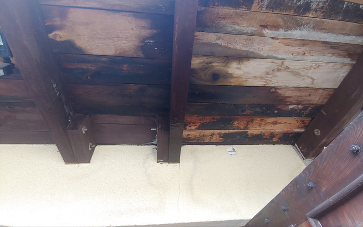 Zbiórka Na dach Ślimaczka - zdjęcie główne