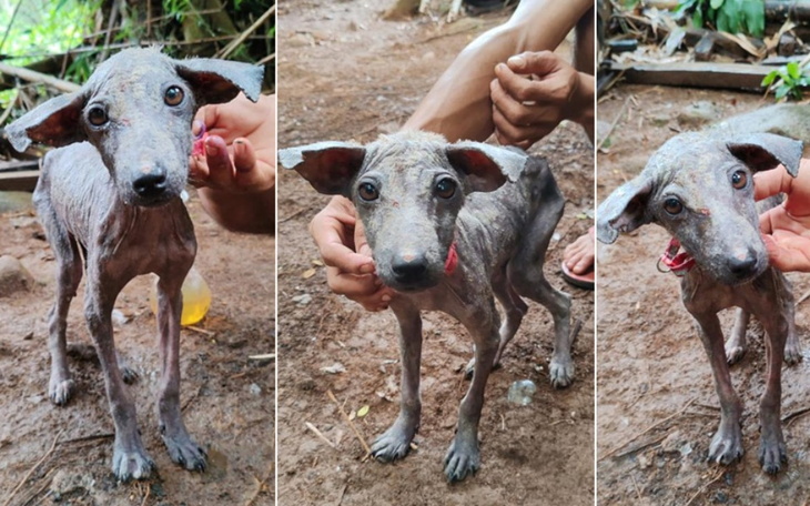 Zbiórka Rafi z Filipin ledwo żyje. Pomóż - zdjęcie główne