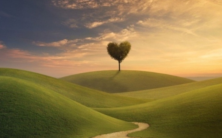 Zbiórka Dla moich ukochanych dzieci - zdjęcie główne