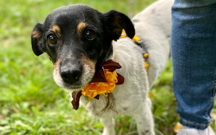 Zbiórka Życie Buni w hoteliku - sierpień - zdjęcie główne