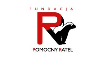 Zbiórka Pomagamy głodnym rodzinom 4 - miniaturka zdjęcia