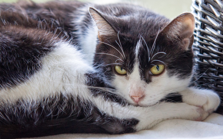 Zbiórka Mruczarnia grudzień 2023 - zdjęcie główne