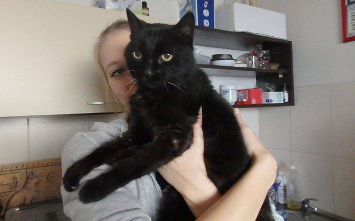 Zbiórka Babka Helena zbiera na badania:( - zdjęcie główne