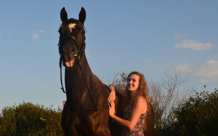 Zbiórka Harvey - zdjęcie główne