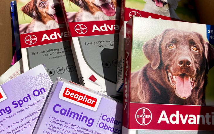 Zbiórka preparaty dla psów i kotów - zdjęcie główne