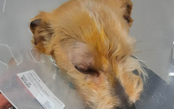 Zbiórka By nie stracił oka - zdjęcie główne