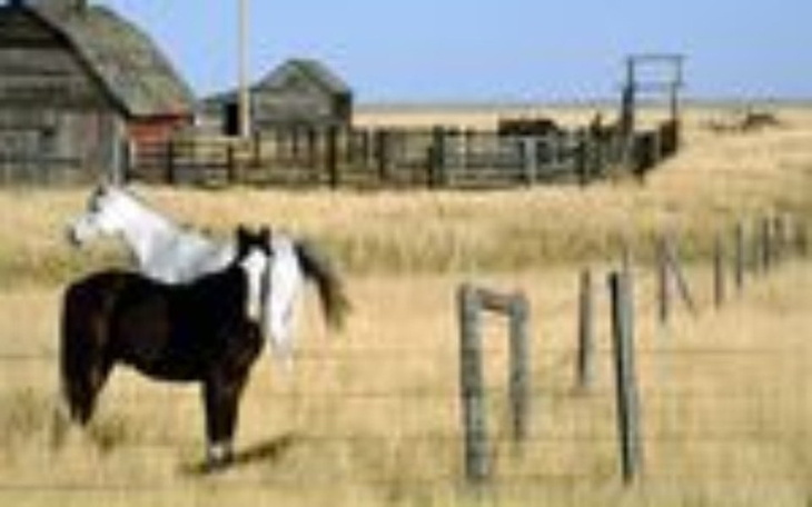 Zbiórka Hotel dla koni - zdjęcie główne