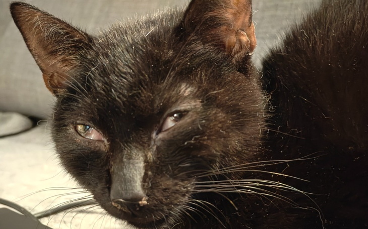 Zbiórka Torcik i cała reszta - zdjęcie główne