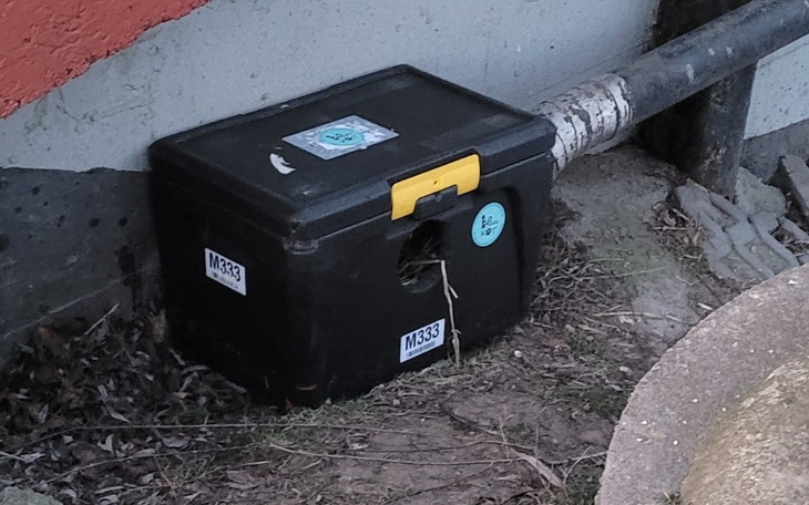 Zbiórka Na Budki dla kotków - zdjęcie główne