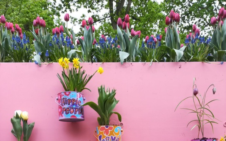 Zbiórka 18 lat brata - zdjęcie główne