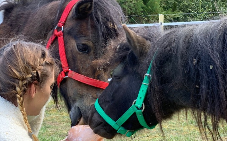 Zbiórka Błagamy o życie bez bólu - zdjęcie główne