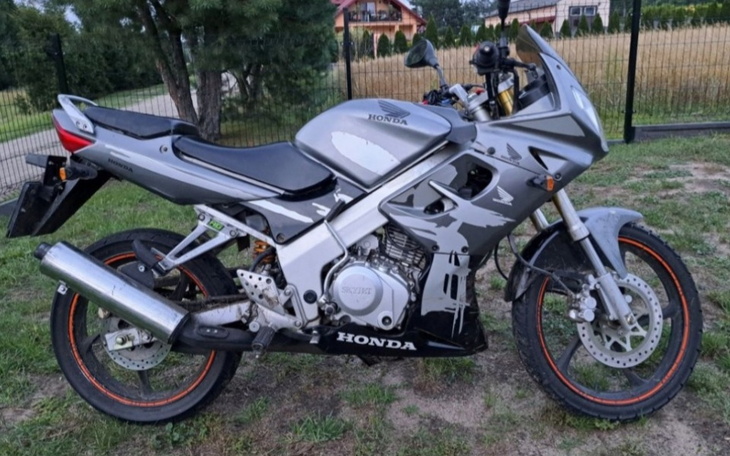 Zbiórka Bestia - zdjęcie główne