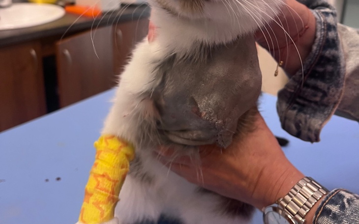 Zbiórka Operacja Marysi - zdjęcie główne