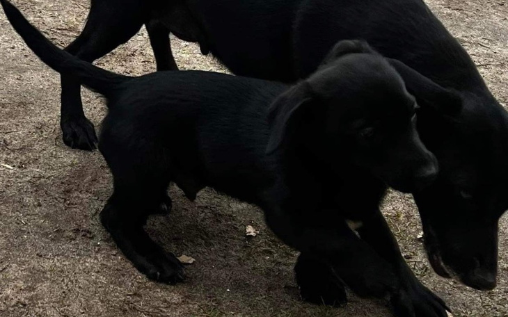 Zbiórka Transport po lepsze - zdjęcie główne