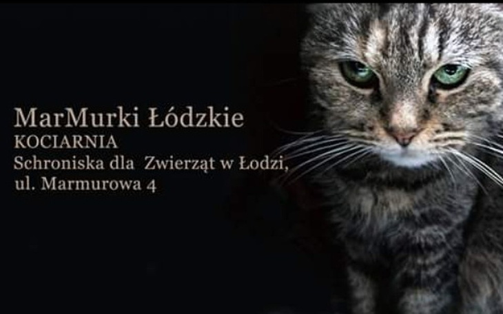 Zbiórka Zbiórka na schronisko MARMURKOWA - zdjęcie główne