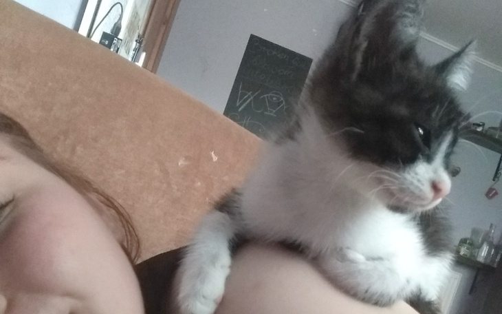 Zbiórka Operacja Bruna - zdjęcie główne