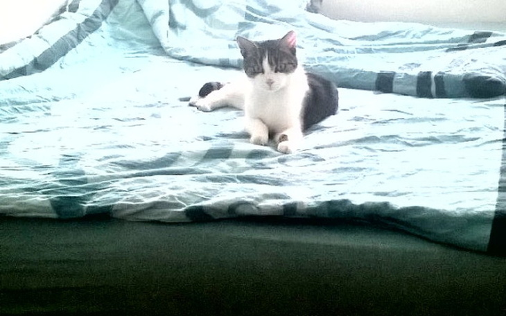 Zbiórka Operacja dla Lucjanka - zdjęcie główne