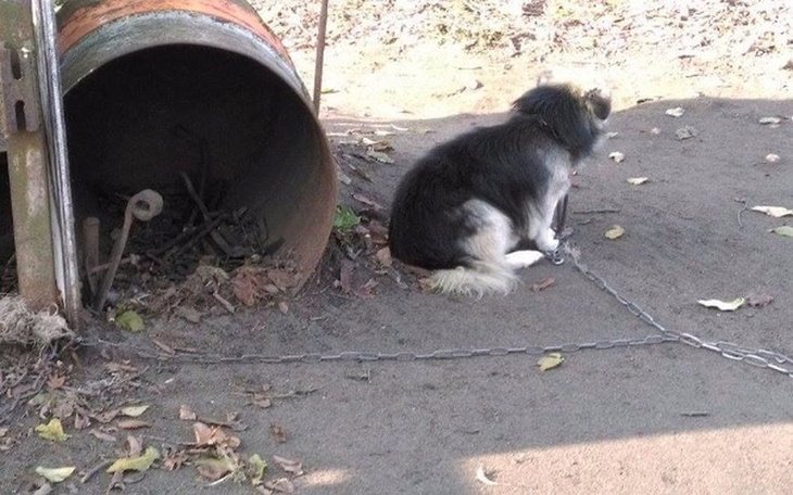 Zbiórka Podaruj BUDĘ NA ZIMĘ. Wymieniamy - zdjęcie główne