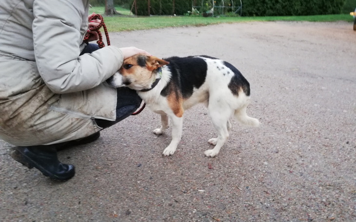 Zbiórka Zapomniany Reksio z Radys - zdjęcie główne