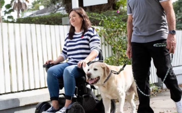 Zbiórka Wózek elektryczny miękki - zdjęcie główne