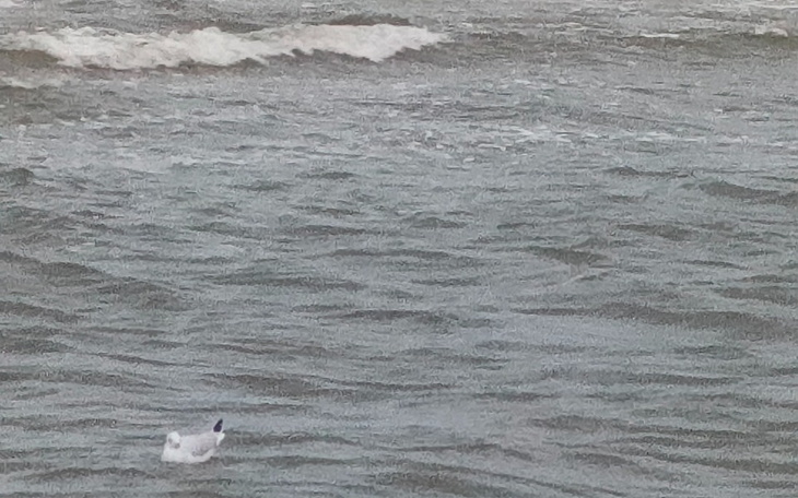 Zbiórka Lepsze jutro, gorsze dziś - zdjęcie główne