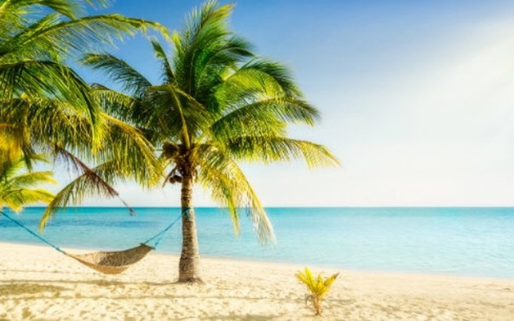 Zbiórka Super wakacje - zdjęcie główne