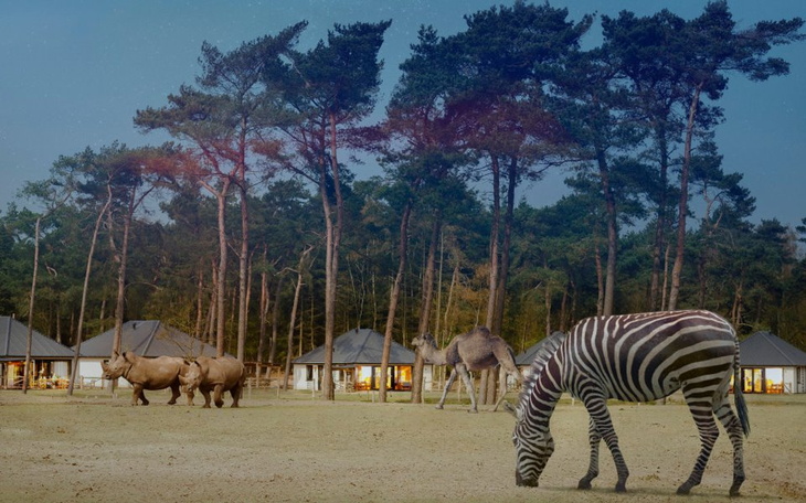 Zbiórka Podroz po Europie - utknalem. - zdjęcie główne