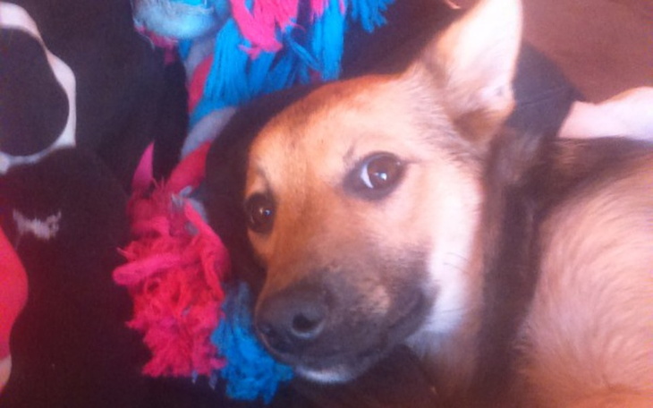 Zbiórka Mieszkanie pomoc - zdjęcie główne