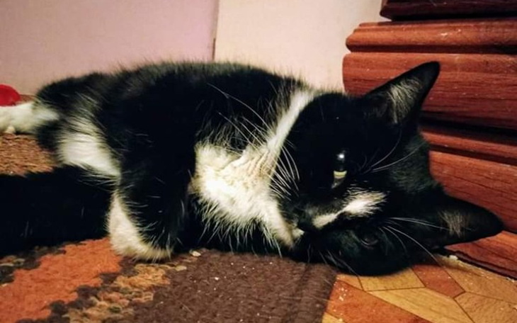 Zbiórka Chcę znowu chodzić - zdjęcie główne