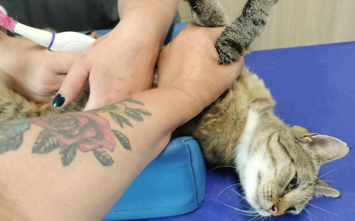 Zbiórka Walka o życie i zdrowie Kamis - zdjęcie główne