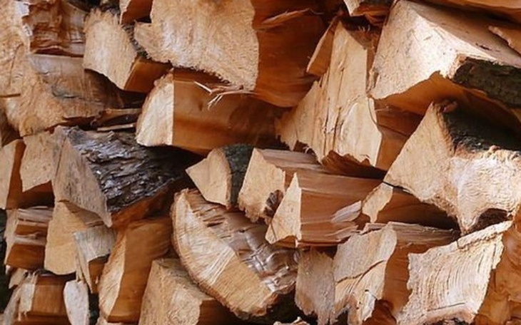 Zbiórka Na drewno opałowe - zdjęcie główne