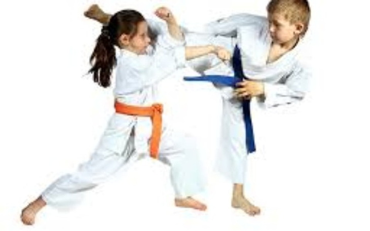 Zbiórka Na sprzęt Karate - zdjęcie główne