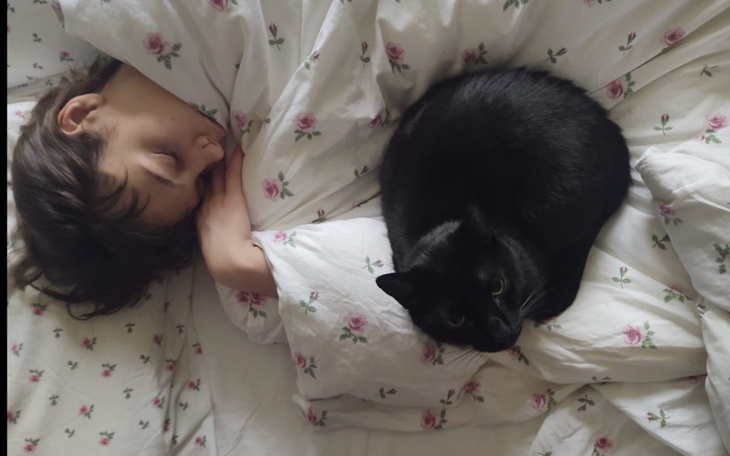 Zbiórka Leczenie ukochanego Salema - zdjęcie główne