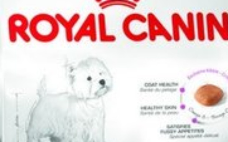 Zbiórka Karma Dla Psa - zdjęcie główne