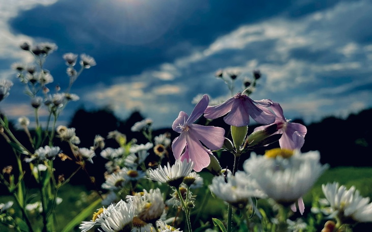 Zbiórka Uwolnienie od dlugów - zdjęcie główne