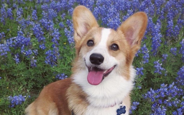 Zbiórka Na moje najskrytsze marzenie 3 - zdjęcie główne