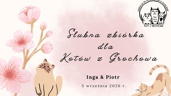 Zbiórka Ślubna zbiórka Ingi i Piotra <3 - miniaturka zdjęcia