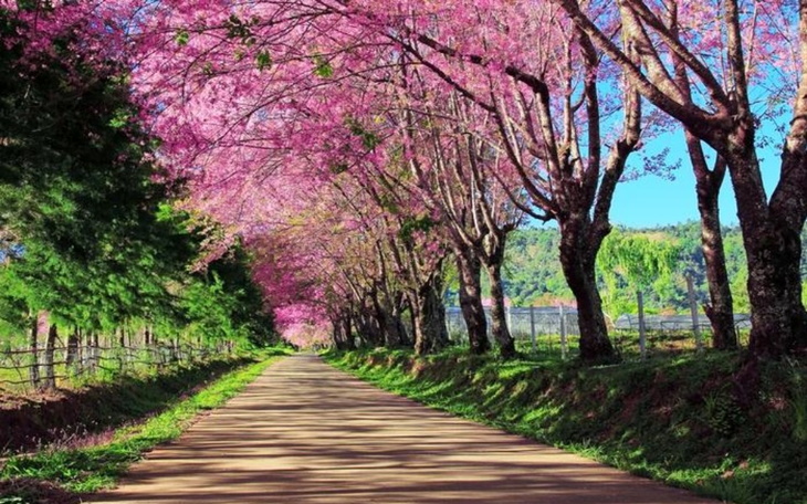 Zbiórka Wyjście na prosta droge - zdjęcie główne