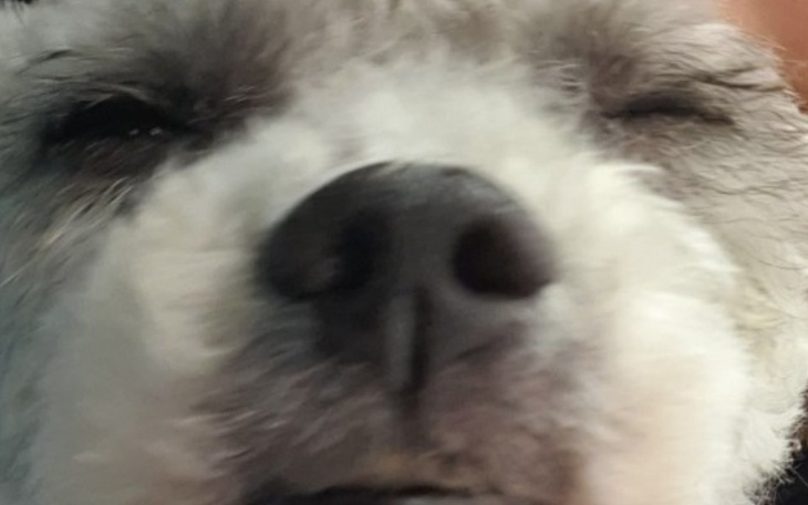 Zbiórka Plz - zdjęcie główne