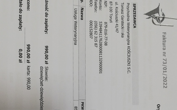 Zbiórka Borysek, któremu ucieka życie - zdjęcie główne