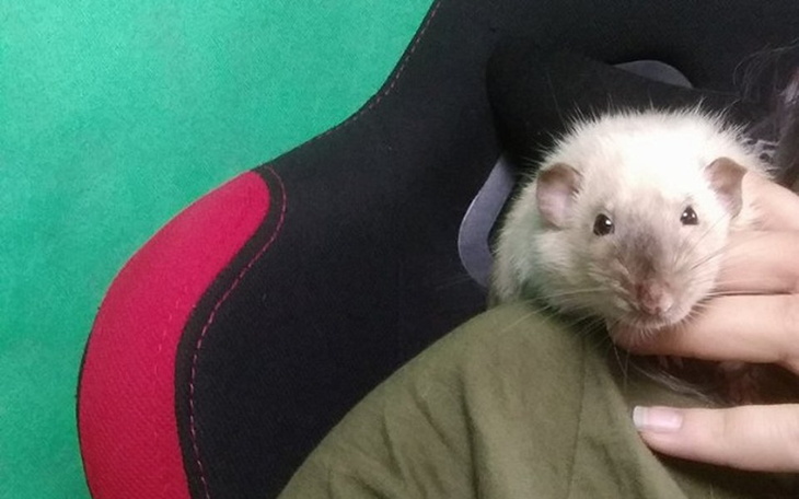 Zbiórka Kevin potrzebuje pomocy! - zdjęcie główne