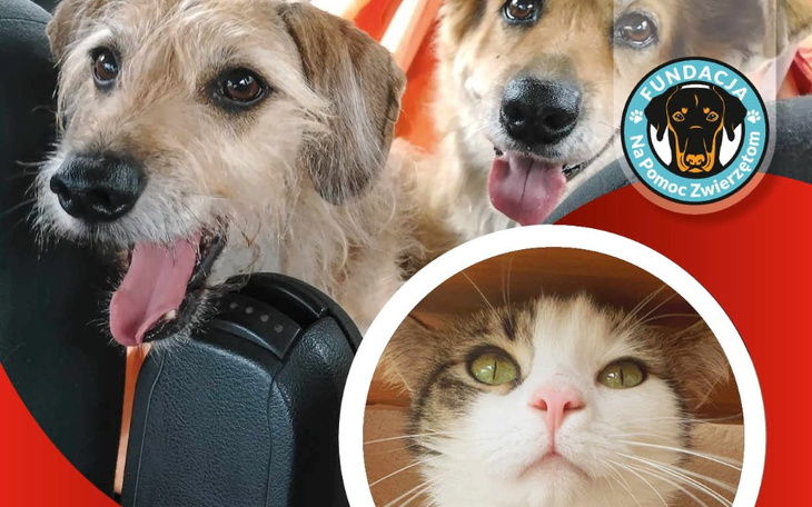 Zbiórka Kalendarze 2024 - zdjęcie główne