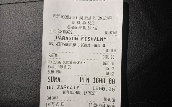 Zbiórka Na operację Homera - zdjęcie główne