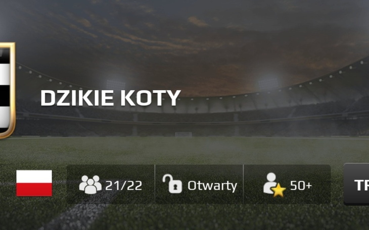 Zbiórka Gold football rivals - zdjęcie główne