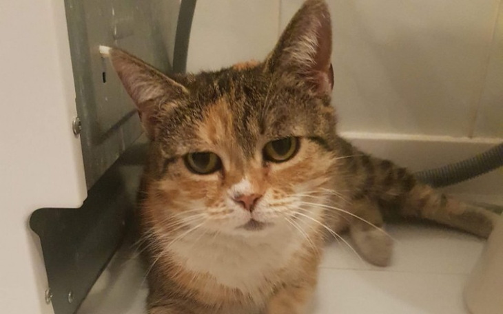 Zbiórka Złapać oddech... - zdjęcie główne